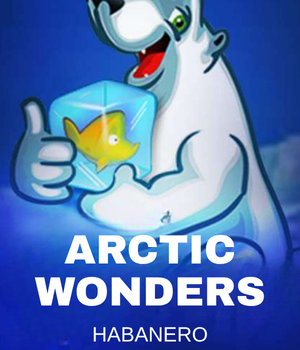 Arctic Wonders